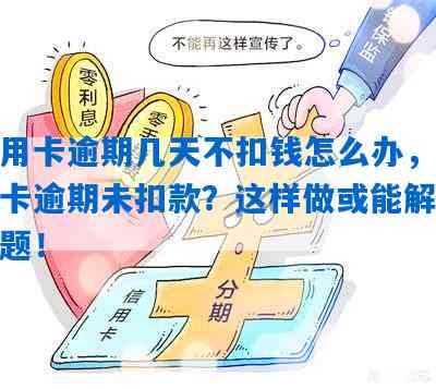 信用卡逾期一天被扣款两次的疑问解答：原因、影响与解决策略