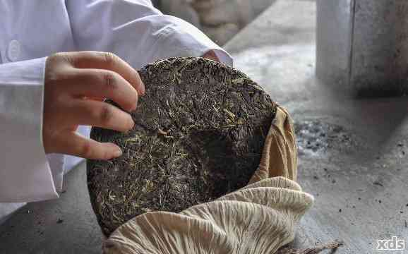 揭秘普洱茶茶饼制作过程：为何要将其压成特定形状以及其背后的科学原理