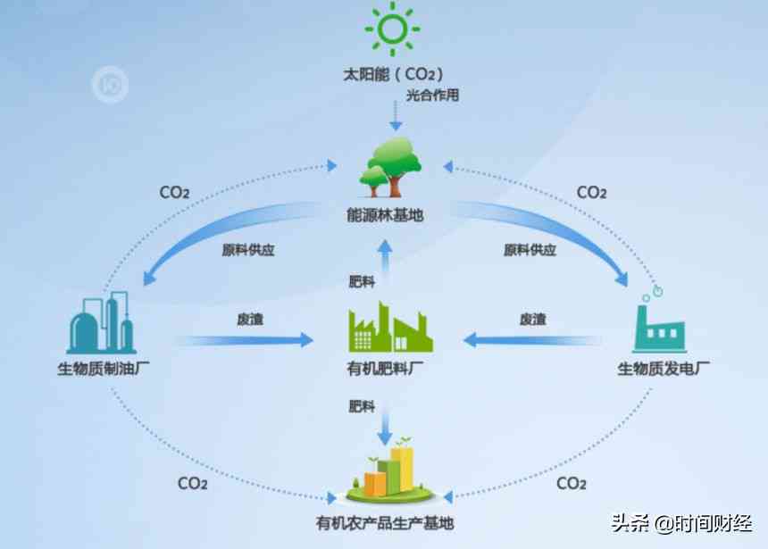 个体户逾期申报税款的处罚措及相关法律问题