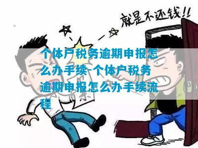 个体户增值税逾期未申报怎么处理