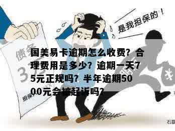 逾期未还款国美易卡5000元，六个月后的后果如何应对？