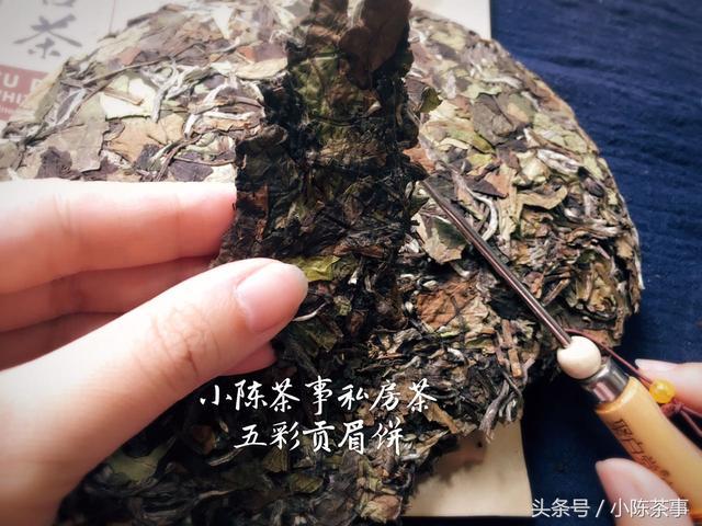 普洱茶可以自己买茶饼放几年