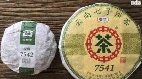 普洱茶7532的数字啥意思