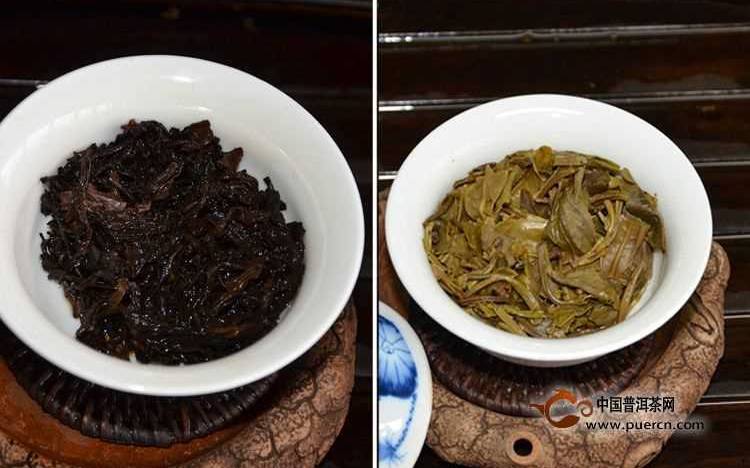 1973普洱茶熟茶口感与生茶的区别