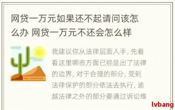 如何在一年内以更优的方式还清一万元网贷的全攻略