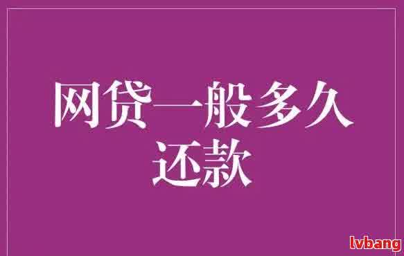 如何在一年内以更优的方式还清一万元网贷的全攻略