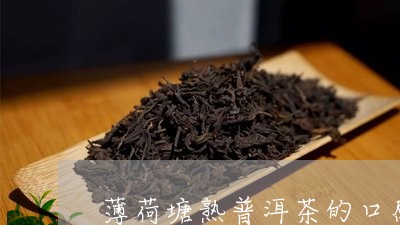 薄荷塘普洱茶熟普口感怎么样