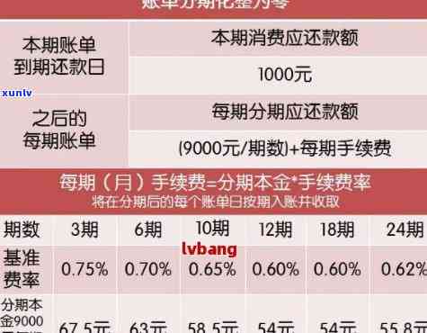 2023年贷款逾期新政策有哪些：全面解读与2020年政策对比