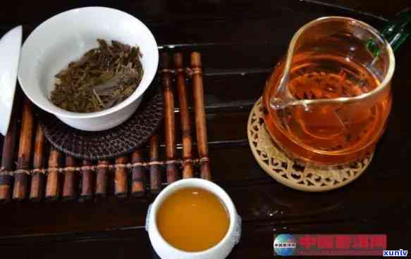 2009年普洱茶：品尝时光里的历韵味，品鉴一杯好茶的秘诀