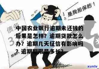 农行保捷贷逾期一个月解决办法及相关政策解读