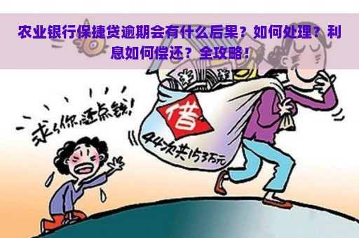 农行保捷贷逾期一个月解决办法及相关政策解读