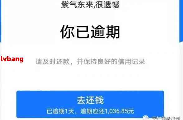 '网商贷逾期久了没有账单：解决方法及还款问题'