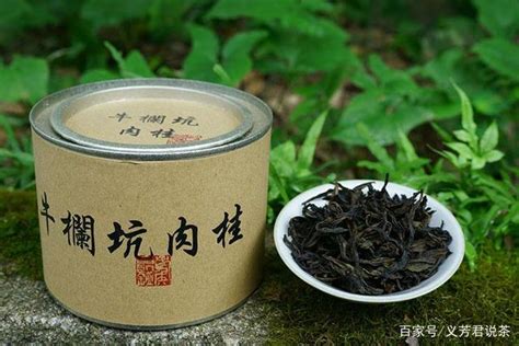 肉是不是岩茶？肉属于哪种茶类？肉岩茶与肉的区别在哪里？