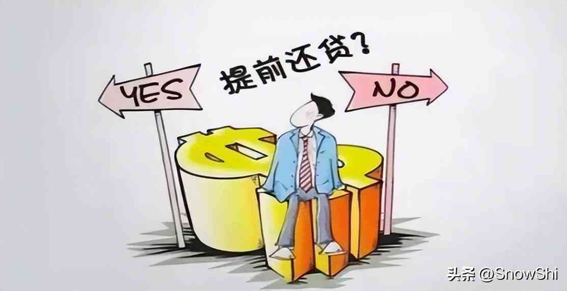 关于7号借款的还款日期，我需要了解的具体信息有哪些？