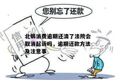 北银消费逾期6年后的后果及处理建议：法院是否会取消起诉？