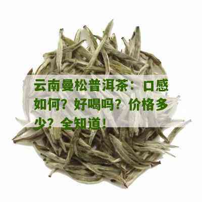 云南曼松普洱茶生茶价格：多少钱一斤？