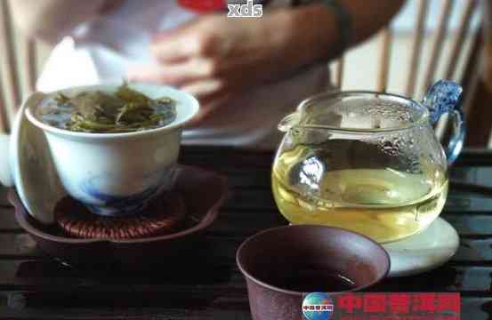 秘境老树普洱茶：功夫茶壶泡制秘诀与品鉴之道