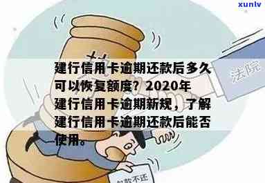 信用卡逾期还款后，何时能重新使用建行信用卡？了解详细恢复流程和时间表