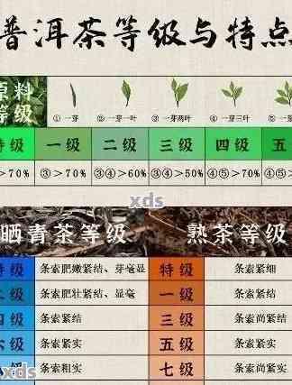 倚邦普洱茶：口感特点、品鉴方法与适合搭配的食物详解