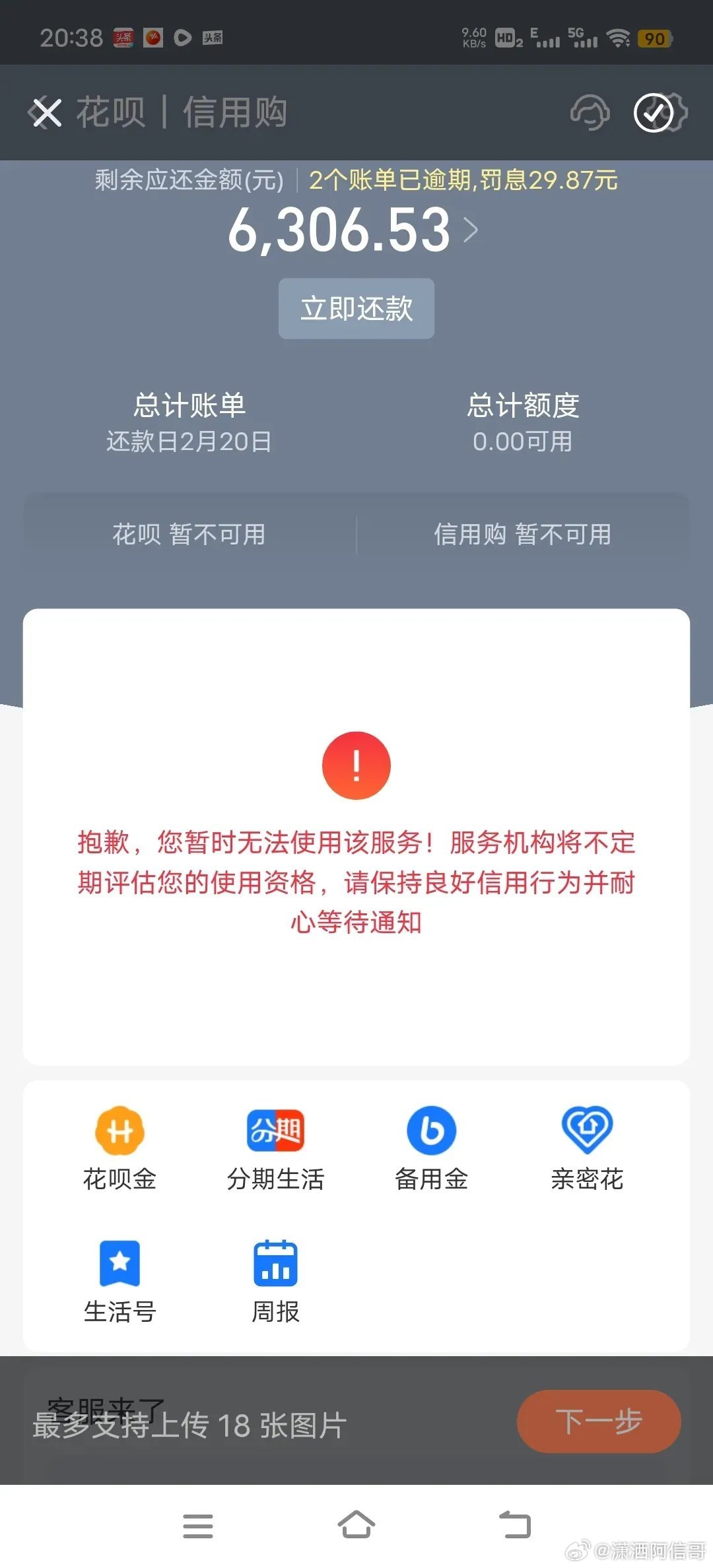 在宽限期最后一天内为什么显示逾期呢