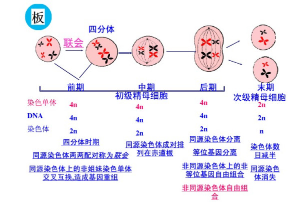 如何辨别佘太翠的真伪：专家解析鉴别方法与技巧