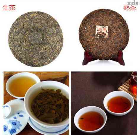 '普洱茶熟茶和生茶有啥区别？功效与优劣比较'