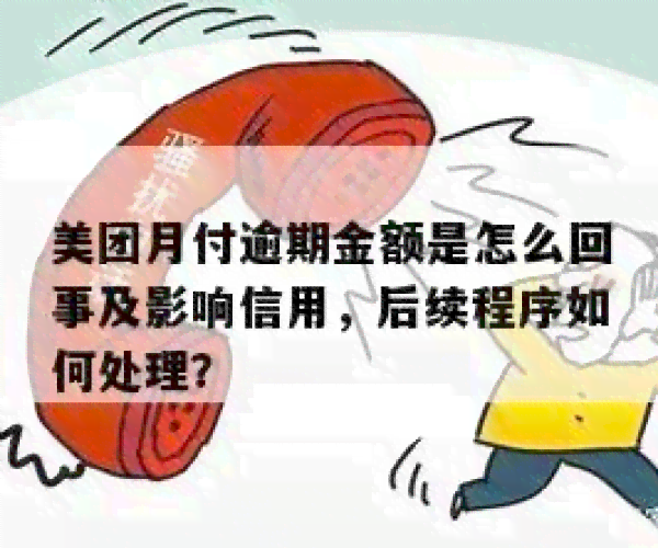 美团月付逾期一个月怎么办