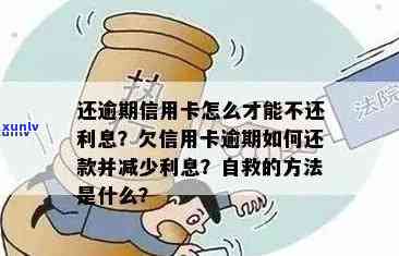 十年前信用卡逾期：如何避免信用损失与修复？