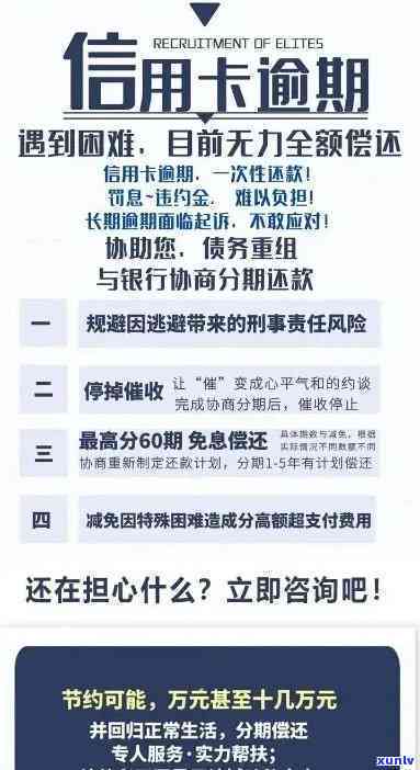 信用卡逾期的影响与应对策略：真实案例分析与解决方法全解析