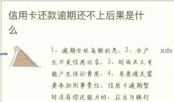 信用卡债务压垮我：如何有效管理信用卡使用、还款和避免逾期的全面指南