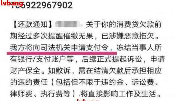 网商贷客户拒绝协商还款后果分析：面临信用破产、财产被冻结等严重问题