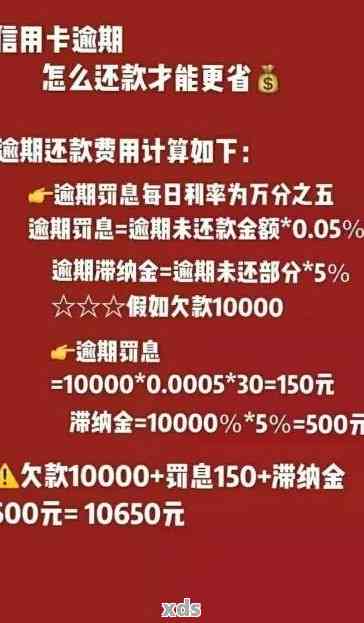 信用卡欠款一万，一年内还款详细计算与分析