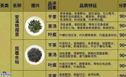 天山冰翠与俄料茶的品质对比：一场茶叶鉴赏之旅