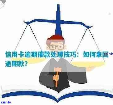 信用卡逾期还款后被扣款，如何追回损失？