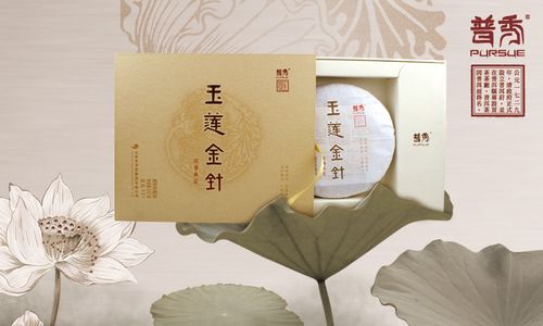 全面了解金针普洱茶叶价格、品质与选购技巧，让你轻松成为普洱茶专家