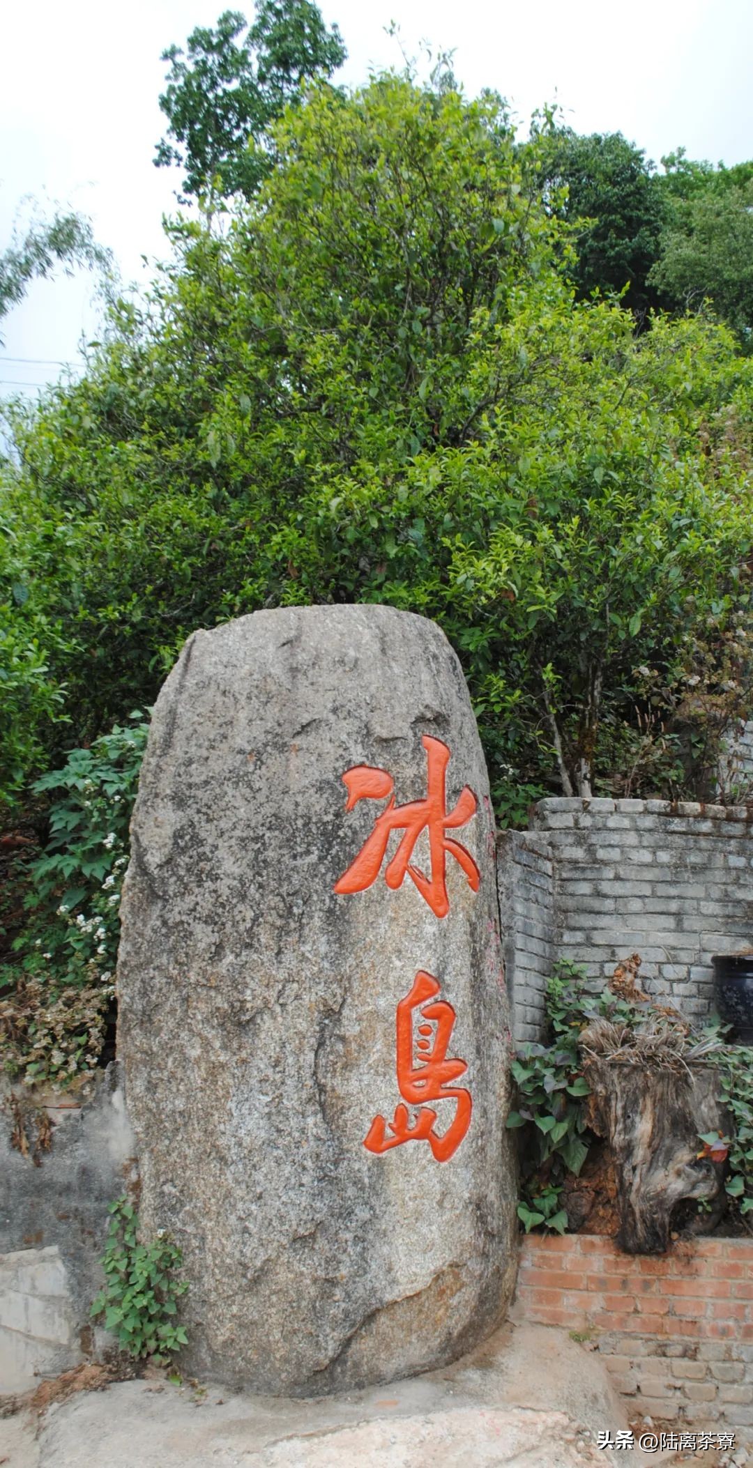 冰岛茶区：探索普洱生茶的纯净之美与独特口感