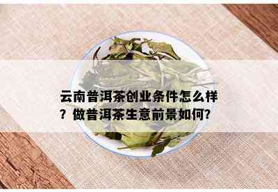 云南普洱茶创业者的成功之路：老板的指导与支持