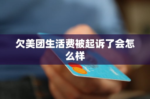 欠了美团生活费2万元占时还不了款怎么办？