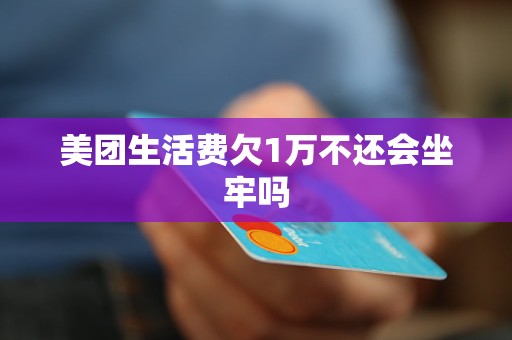 欠了美团生活费2万元占时还不了款怎么办？