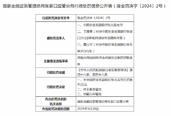 展期还款账单是否会在借款期间显示？如何查看和管理我的展期还款账单？