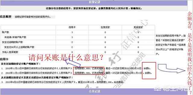 放心借款还款宽限期政策详解：用户最关心的问题都在这里