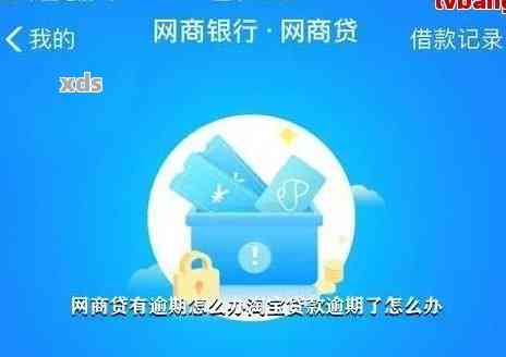 '网商贷还款日期调整：安全及操作指南'