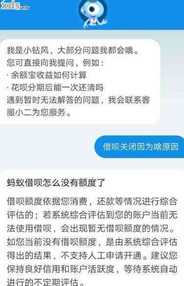 借呗大额还款标准是什么？如何避免触发还款限制？