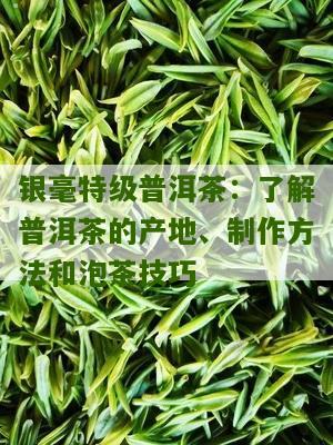 银毫和临毫普洱茶是不是一个厂