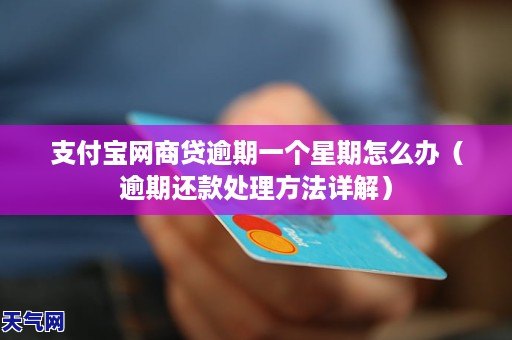 网商贷逾期还款的风险与应对策略，避免陷入债务困境