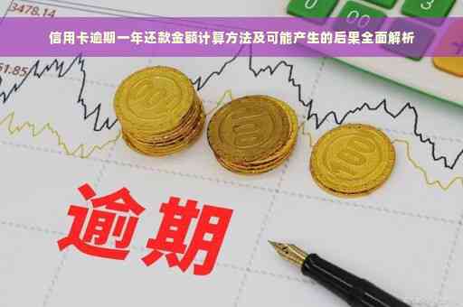 逾期一年的信用卡还款金额计算：包含详细解释和实用建议