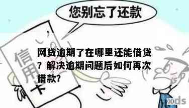 新网银行逾期借款解决方案：如何处理、恢复信用及预防措全解析