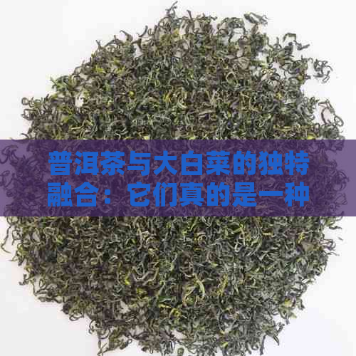 普洱茶中的有机物来源：大白菜是否为其中一种？