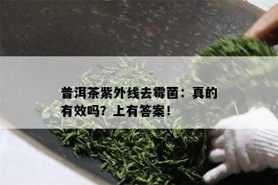 大白菜：普洱茶的独特魅力与不可复制性解析