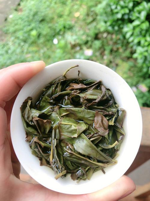 白瑞香茶的特征、品质与功效